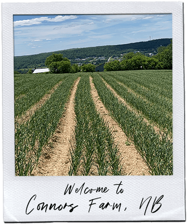 Welcome to Connors Farm, New Brunswick, CANADA